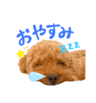 りゅっくちゃんスタンプ（個別スタンプ：7）