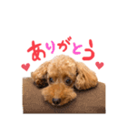 りゅっくちゃんスタンプ（個別スタンプ：10）