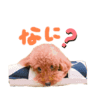 りゅっくちゃんスタンプ（個別スタンプ：13）