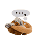 りゅっくちゃんスタンプ（個別スタンプ：14）