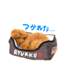 りゅっくちゃんスタンプ（個別スタンプ：15）