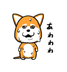 柴犬ゴンゾー（個別スタンプ：17）