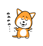 柴犬ゴンゾー（個別スタンプ：29）