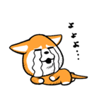 柴犬ゴンゾー（個別スタンプ：30）