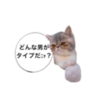 ししゃもですが何か。（個別スタンプ：20）