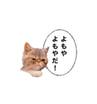ししゃもですが何か。（個別スタンプ：21）