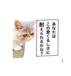 ししゃもですが何か。（個別スタンプ：22）