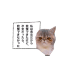 ししゃもですが何か。（個別スタンプ：23）