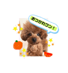 ちくわと言います♡（個別スタンプ：8）