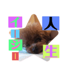 ちくわと言います♡（個別スタンプ：11）