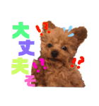 ちくわと言います♡（個別スタンプ：15）