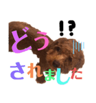 ちくわと言います♡（個別スタンプ：16）