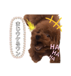 ちくわと言います♡（個別スタンプ：21）