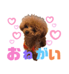 ちくわと言います♡（個別スタンプ：31）