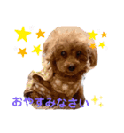 アップルちゃんの日常会話（個別スタンプ：3）