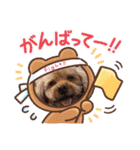 アップルちゃんの日常会話（個別スタンプ：13）