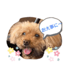 アップルちゃんの日常会話（個別スタンプ：14）