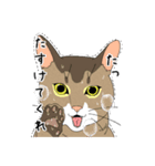 てまりと大きな仔猫たち（個別スタンプ：8）