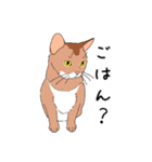 てまりと大きな仔猫たち（個別スタンプ：14）