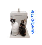 ニャンのきもち 8 【猫写真スタンプ】（個別スタンプ：3）