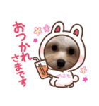 マルプーのメルモちゃん（個別スタンプ：6）