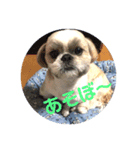 スーさん家族2（個別スタンプ：6）