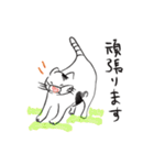 新しい生活様式で暮らす猫 4（個別スタンプ：7）