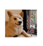 ペルル日誌スタンプ（個別スタンプ：6）