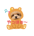 きなスタンプ1、（個別スタンプ：4）
