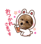 きなスタンプ1、（個別スタンプ：7）