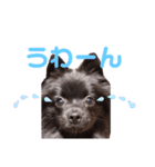 【手作り】さくらスタンプ（個別スタンプ：6）