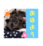 【手作り】さくらスタンプ（個別スタンプ：7）