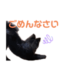 【手作り】さくらスタンプ（個別スタンプ：12）