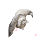 にゃんらいふ(白文字)（個別スタンプ：14）