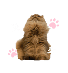 にゃんらいふ(白文字)（個別スタンプ：25）