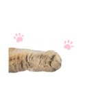 にゃんらいふ(白文字)（個別スタンプ：39）