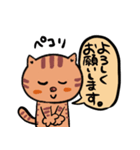 ねこのぽちこ（個別スタンプ：36）