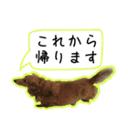 日常LINE〜犬(うちのとろんちゃん)と一緒（個別スタンプ：9）