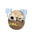スノーウィーの日常（個別スタンプ：1）