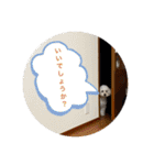 スノーウィーの日常（個別スタンプ：13）