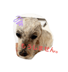 スノーウィーの日常（個別スタンプ：14）
