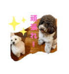 スノーウィーの日常（個別スタンプ：15）
