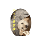 スノーウィーの日常（個別スタンプ：21）