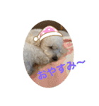 スノーウィーの日常（個別スタンプ：24）
