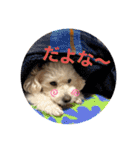 スノーウィーの日常（個別スタンプ：25）