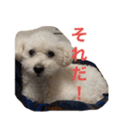 スノーウィーの日常（個別スタンプ：29）