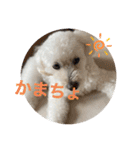 スノーウィーの日常（個別スタンプ：32）
