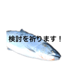 【北海道釣りチャンネル】スタンプ第二弾（個別スタンプ：3）