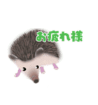 ハリネズミのカーチャ（個別スタンプ：4）