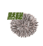 ハリネズミのカーチャ（個別スタンプ：6）